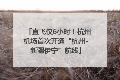 直飞仅6小时！杭州机场首次开通“杭州-新疆伊宁”航线